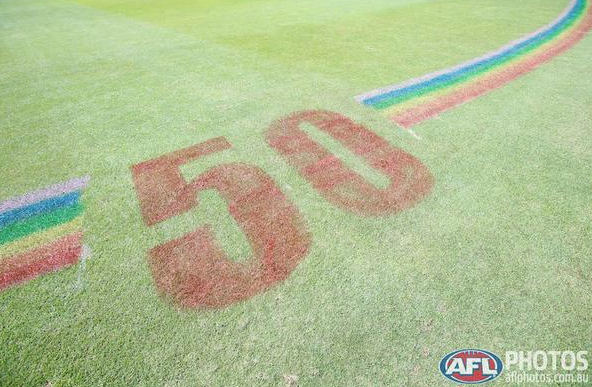Rainbow colours were painted on both of the 50m arcs. (Picture: afl.com.au)