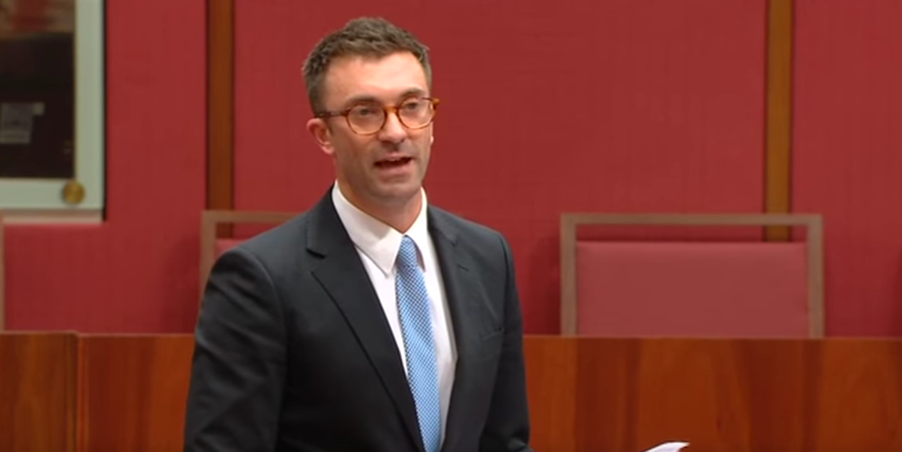 gay zealand tony forster Gay zealand tony forster