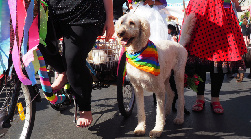 Daylesford ChillOut Parade 2016