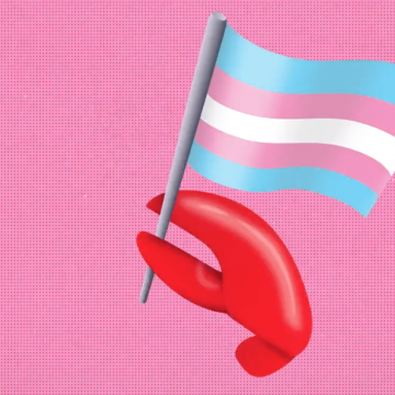 trans flag lobster emoji