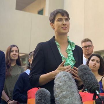 anna brown equality australia federal election