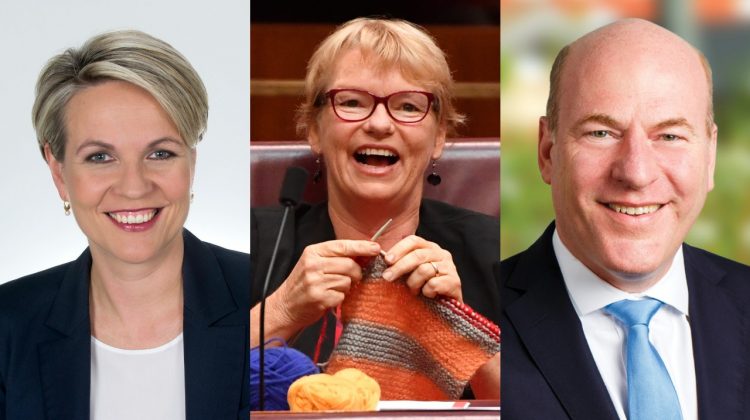 Tanya Plibersek Janet Rice Trent Zimmerman federal election vote politicians