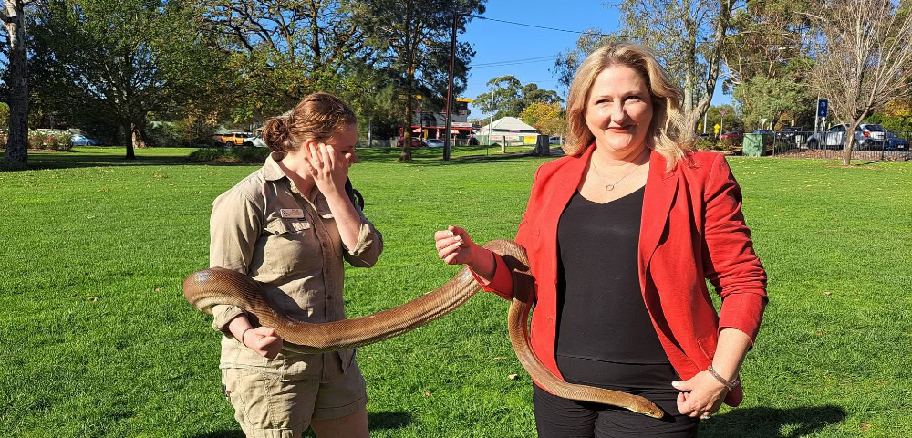 MP Rebekha Sharkie Takes Legal Action Against Australian Christian Lobby