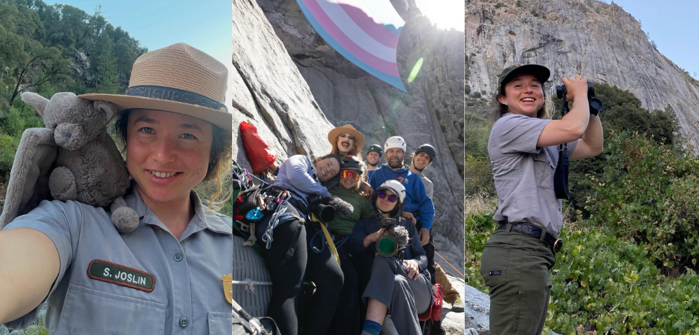 Non-Binary Biologist Fired For Hanging Huge Trans Flag In Yosemite