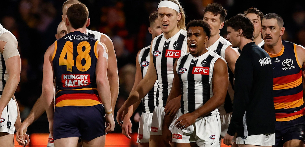 Adelaide, Be Better: Crows Fans Jeer & Boo Over Homophobic Slur Incident