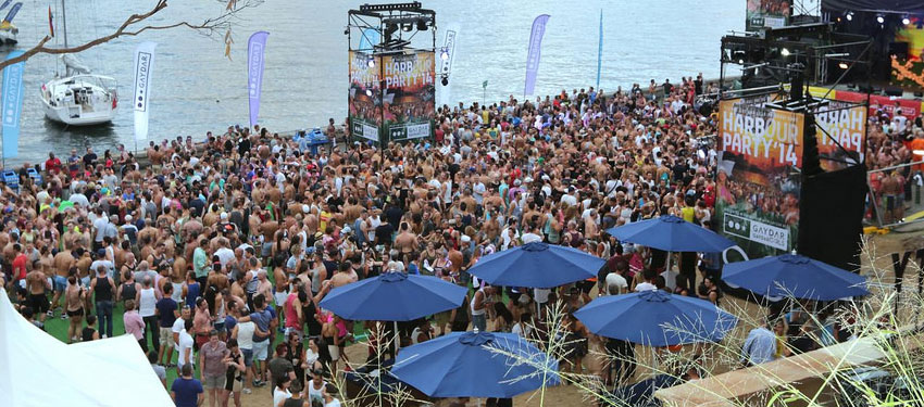 Mardi Gras members miss early Harbour Party tickets after IT error
