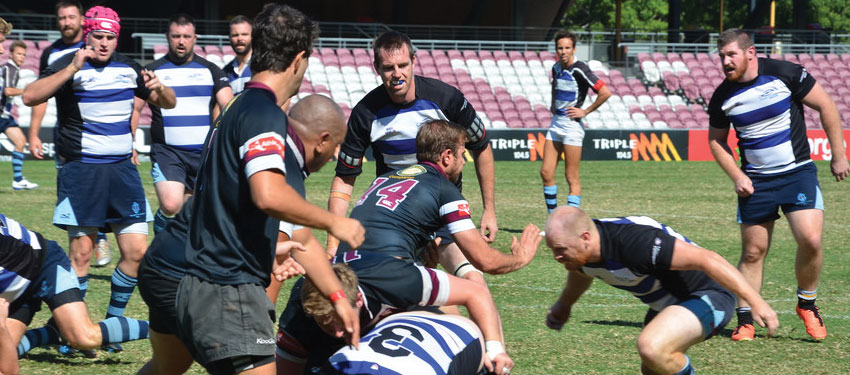 Bledisloe Cup of gay rugby union to be decided this weekend in New Zealand