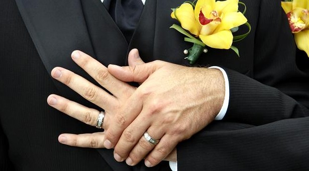 Senator David Leyonhjelm’s marriage equality bill put on hold