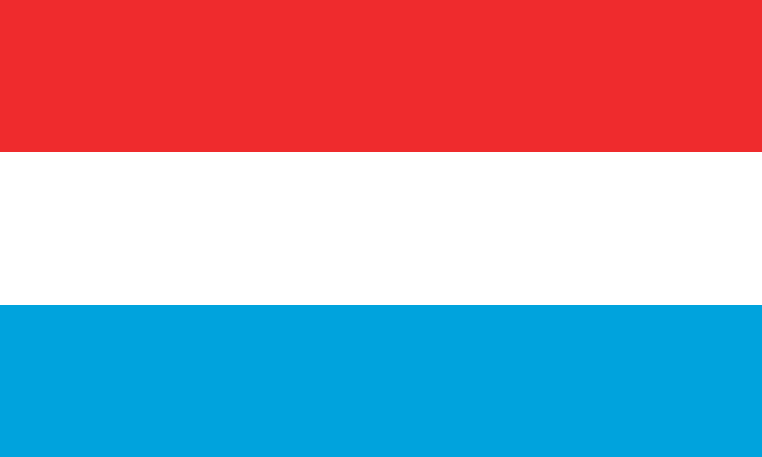 Luxembourg legalises gay marriage