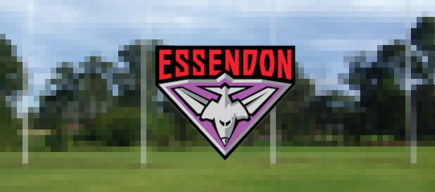 Essendon Football Club launches gay supporters group Purple Bombers