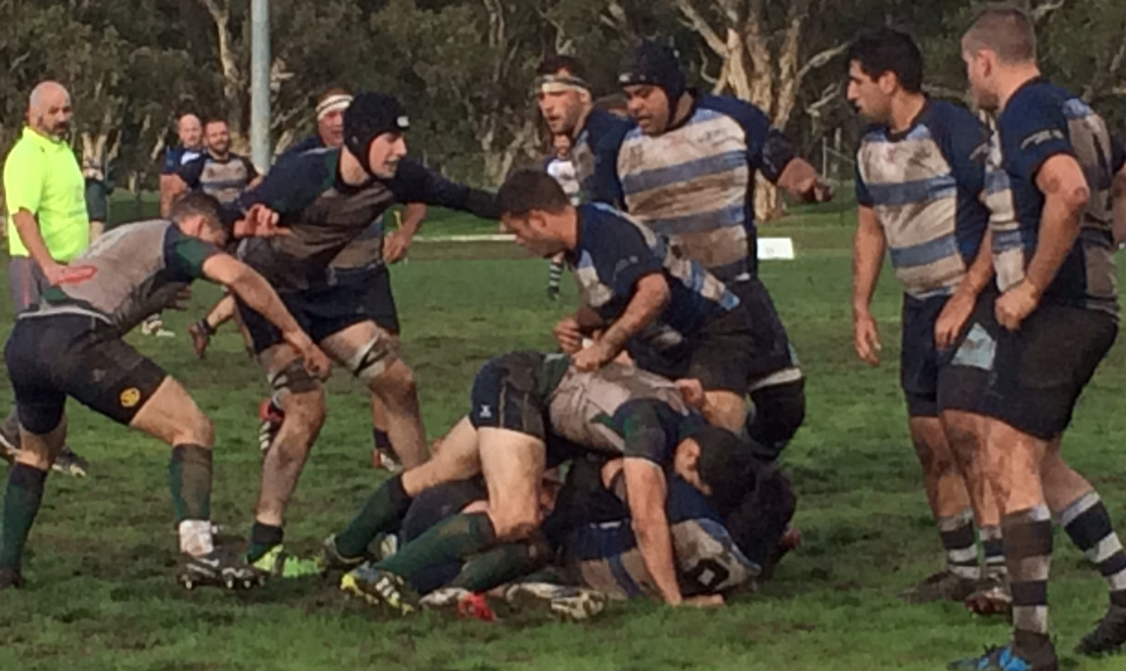 Bingham Cup roundup Day 2 Sydney through to Bingham Cup grand final