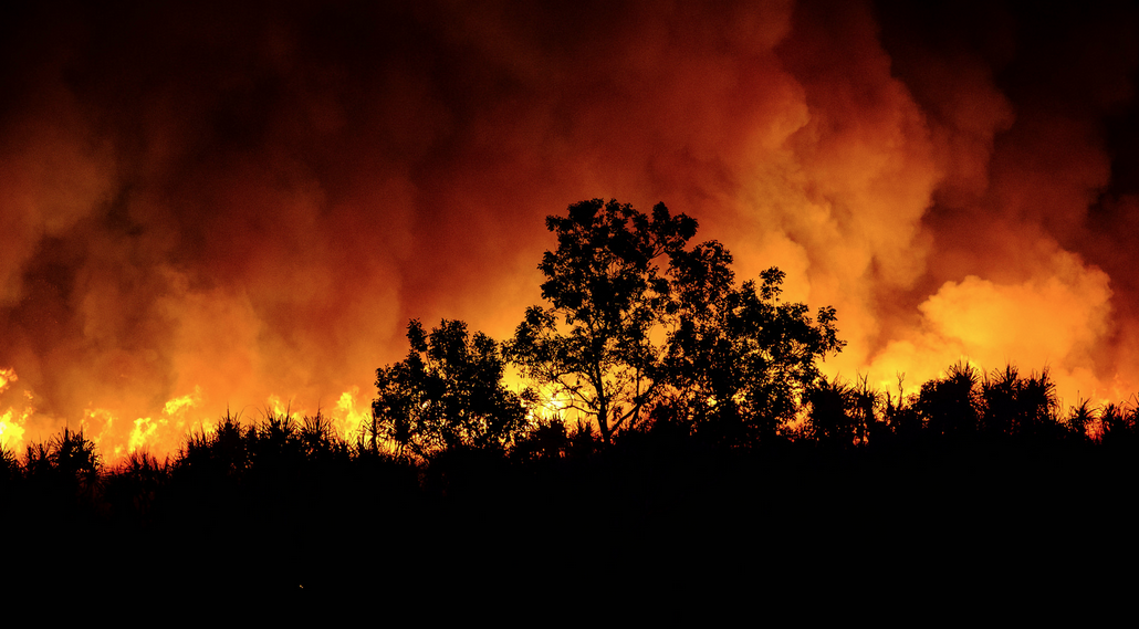 Study seeks LGBTI Blue Mountains residents impacted by bushfires