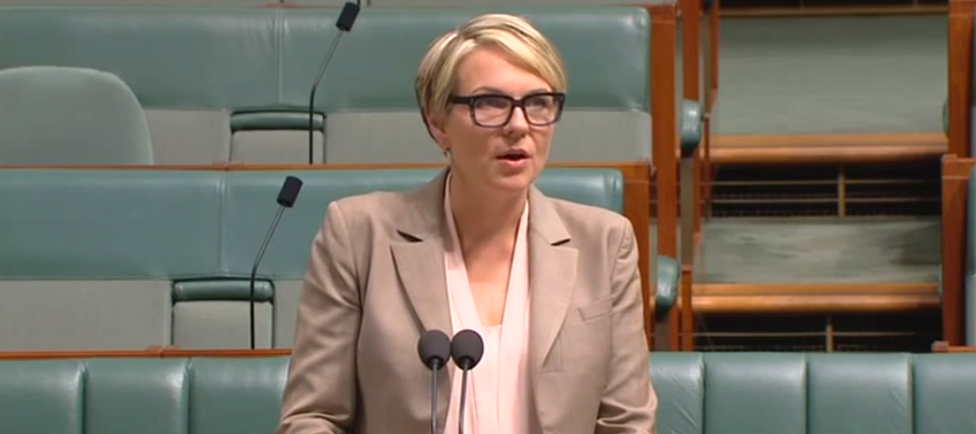 Tanya Plibersek to PM: Grant a conscience vote on gay marriage as a Mardi Gras present
