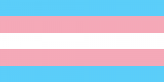 trans transgender pride flag legal service