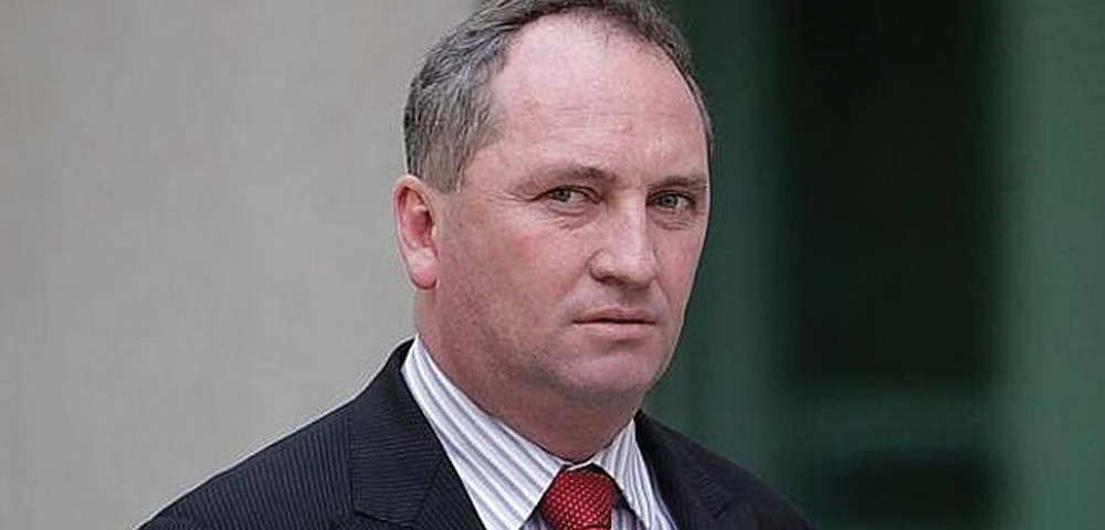 Barnaby Joyce: marriage survey campaigners should ‘get out of my face’