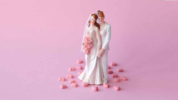 lesbian wedding marriage gay couple brides pink same-sex bridal
