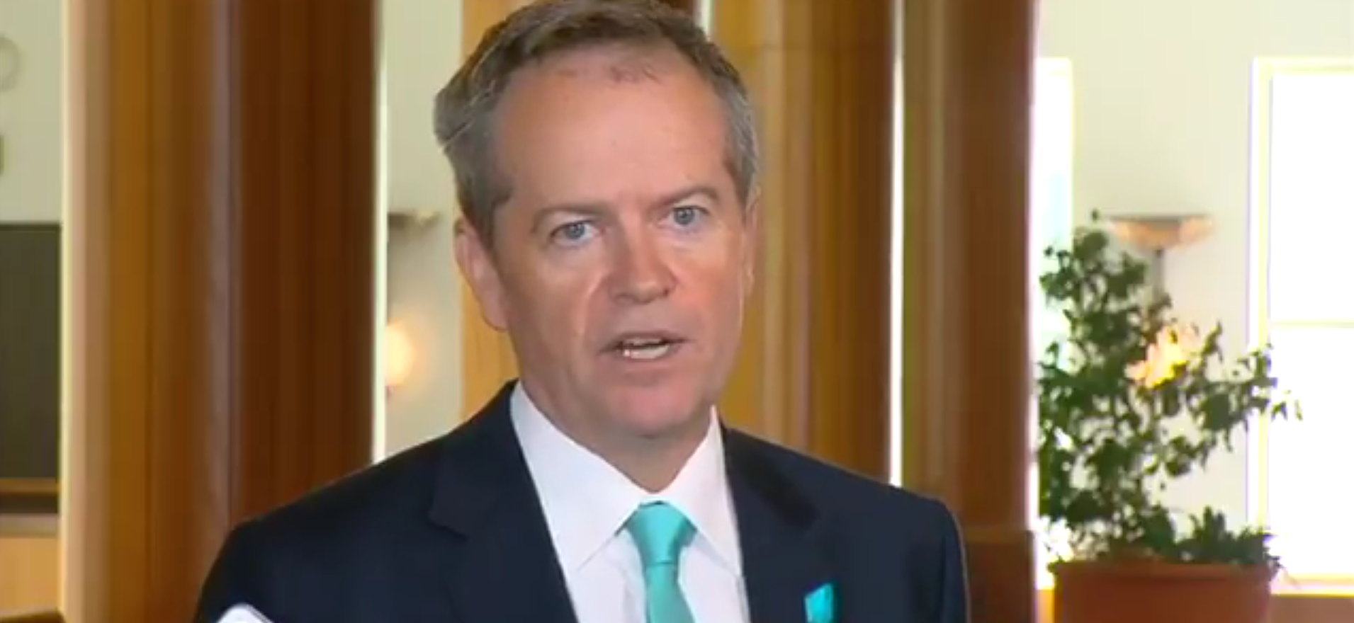 “At least I’m not a homophobe” — Bill Shorten to Cory Bernardi on Safe Schools controversy