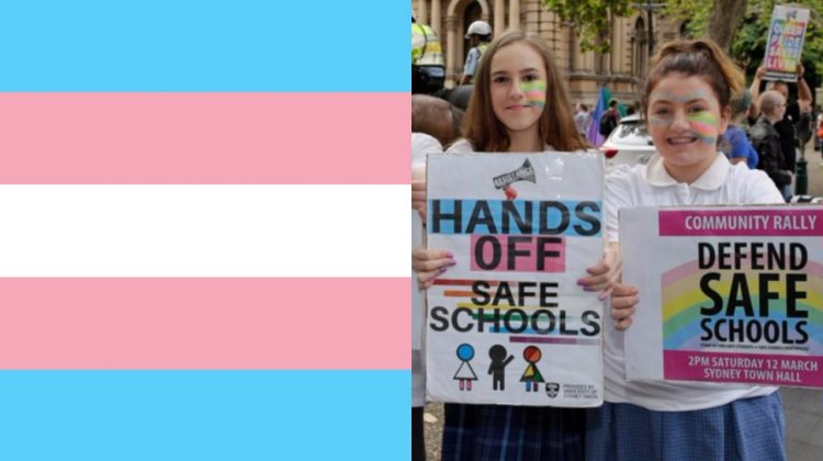 trans safe schools