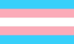 trans flag clinics