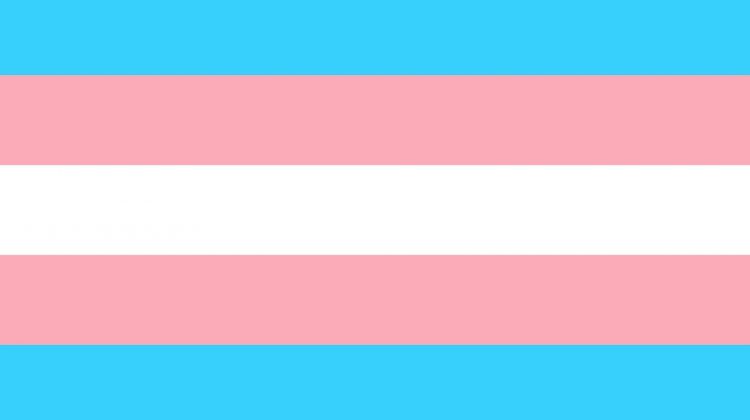 trans flag clinics
