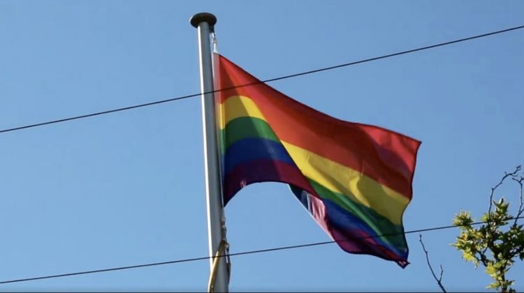 rainbow flag canberra