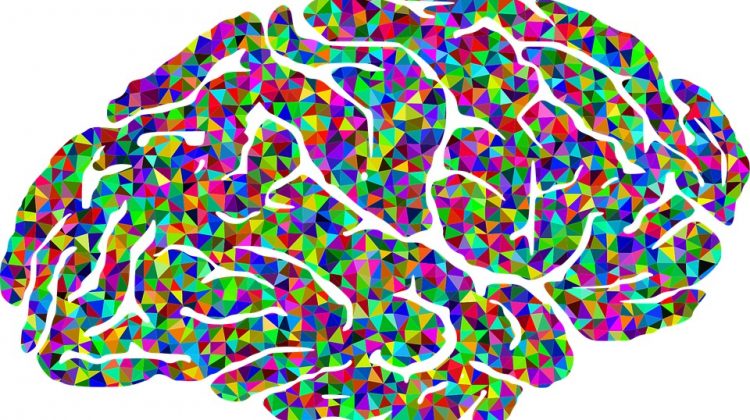 rainbow brain