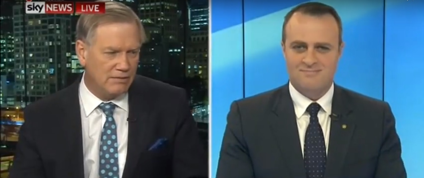 MP Tim Wilson says marriage equality debate has descended into ‘national silliness’