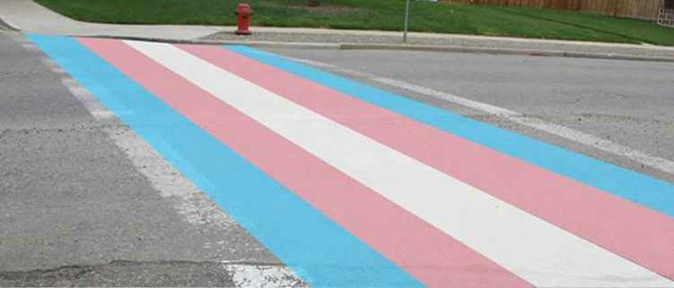 Trans flag crossing vandalised in Canada