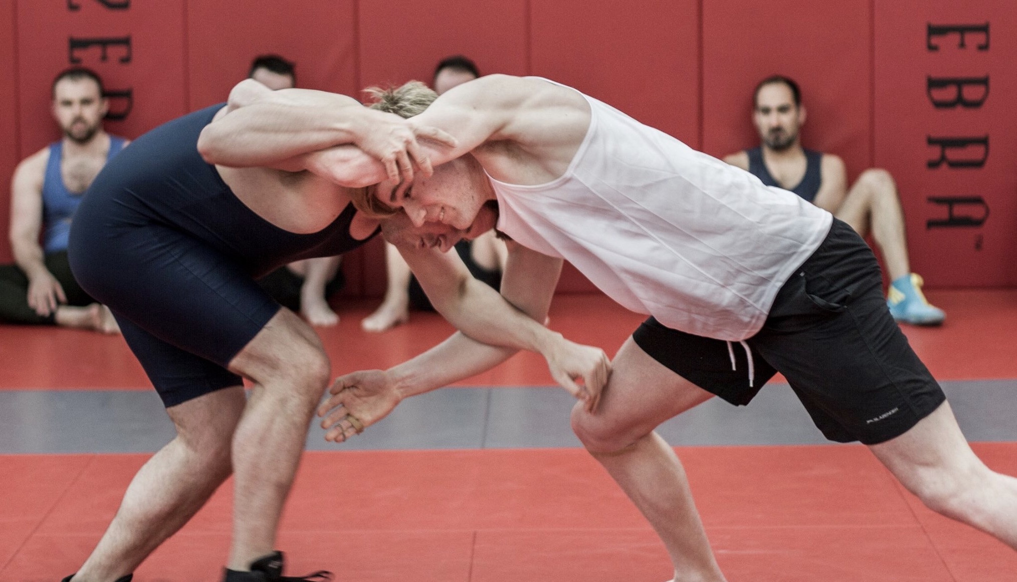 Melbourne wrestlers aim to break gender and sexuality stereotypes