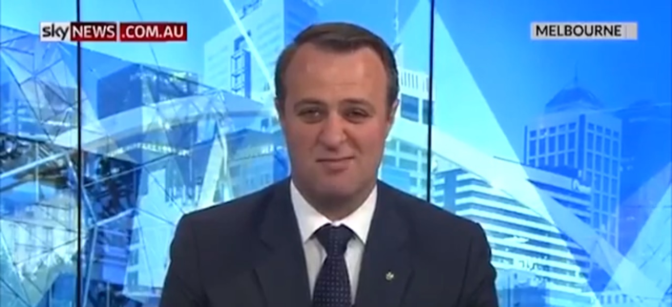 Tim Wilson suggests marriage equality doesn’t matter to Australian population