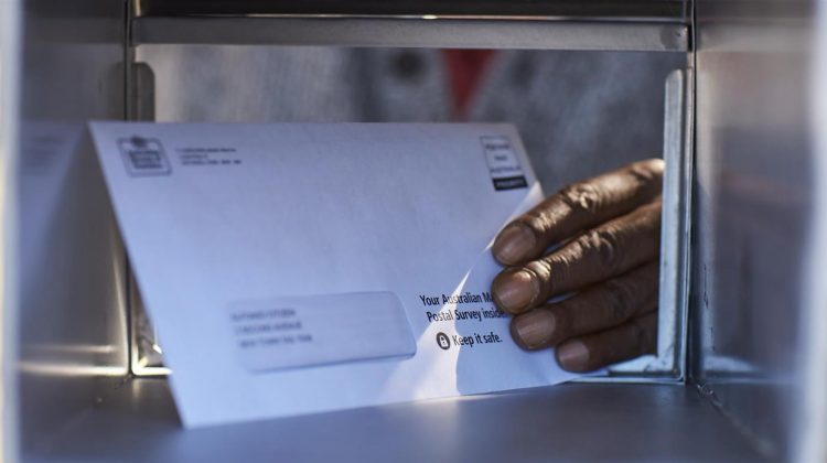 postal vote marriage equality survey