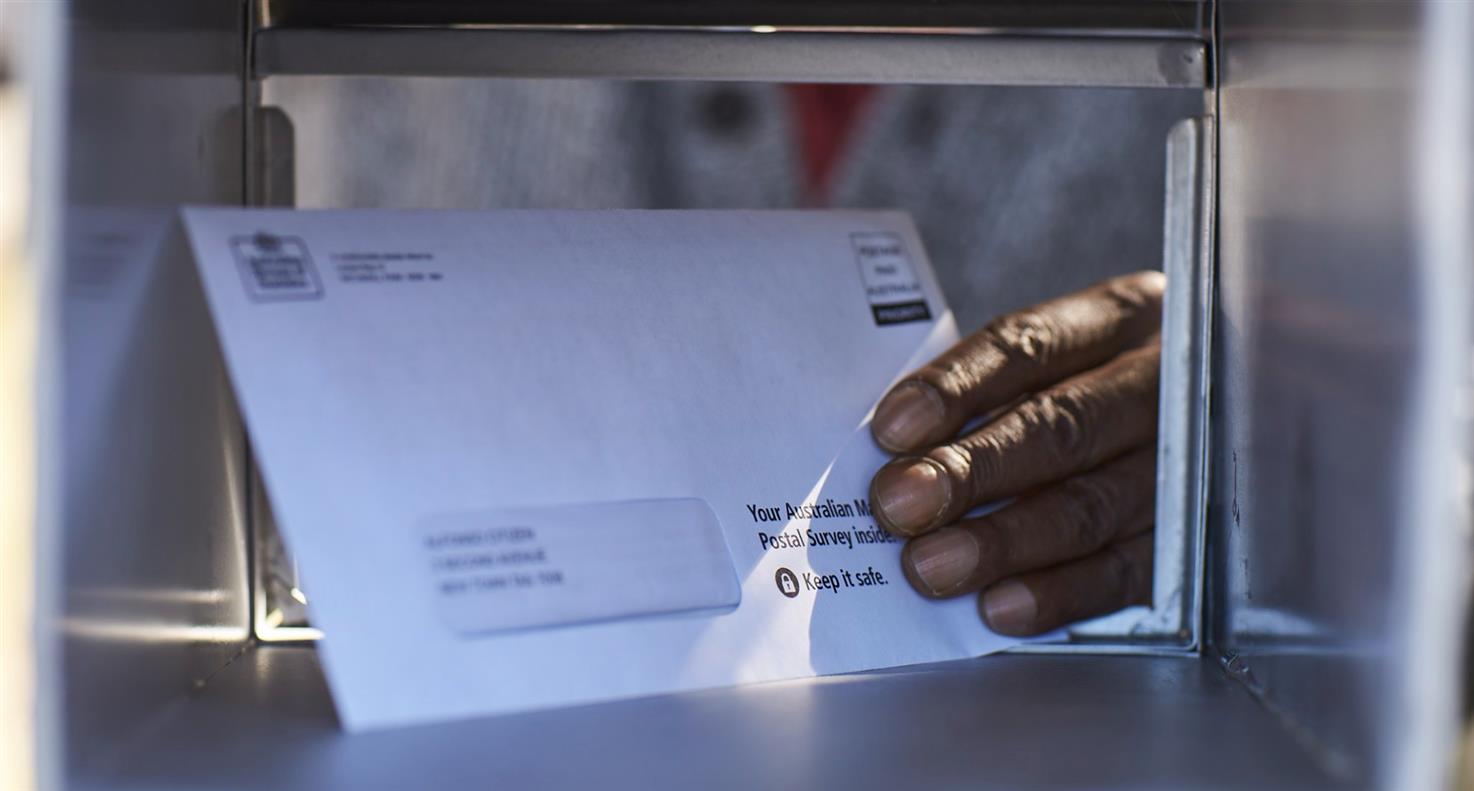 Dozens of postal votes found abandoned in back yard