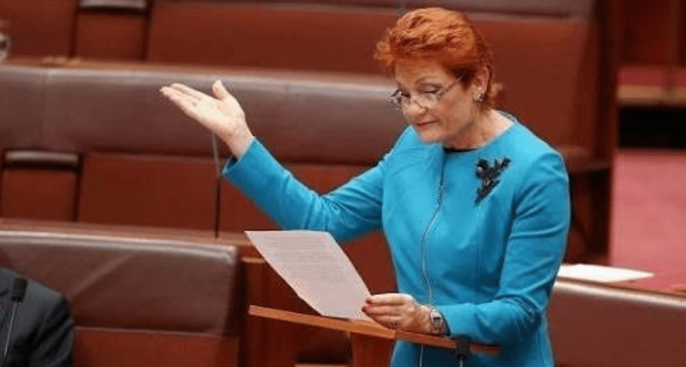Pauline Hanson suggests SSM could lead to polygamy and child marriages