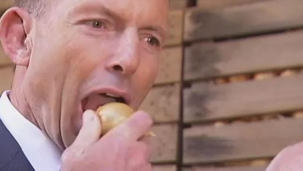 Notorious No campaigner Tony Abbott says marriage equality will “strengthen” Australia