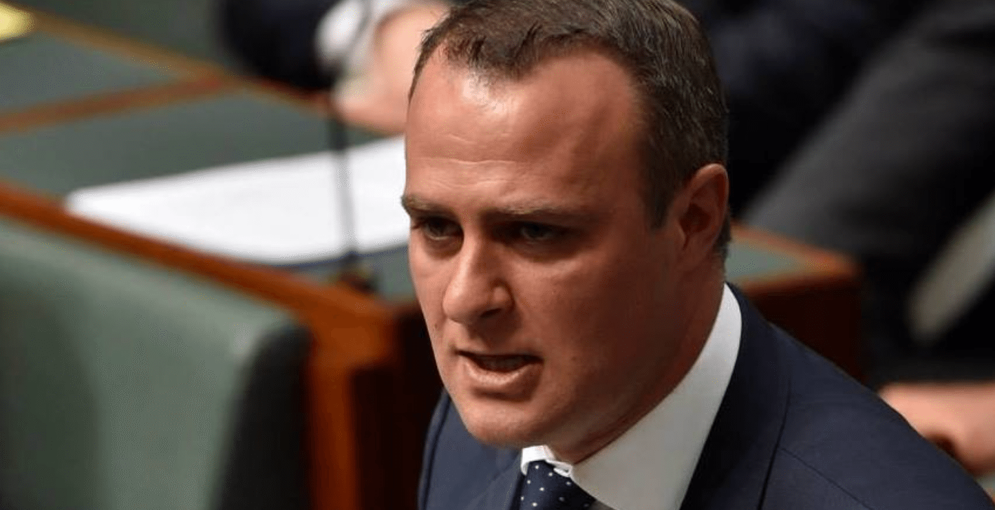 Liberal MP Tim Wilson proposes to partner in parliament during SSM debate