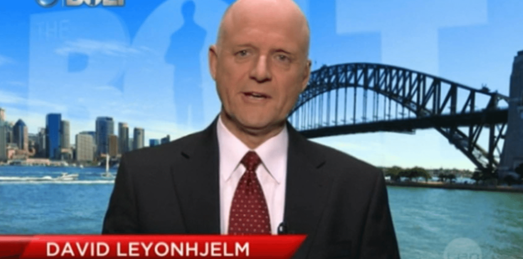 Liberal Democrats senator David Leyonhjelm fears gay activists will tie up the courts