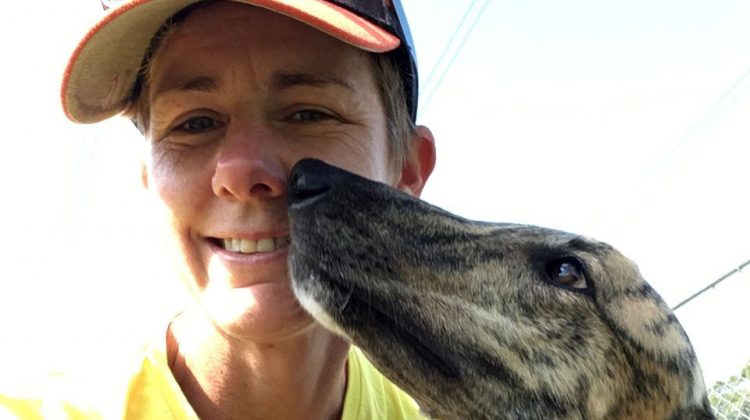 Shelley Tinworth greyhounds rescue