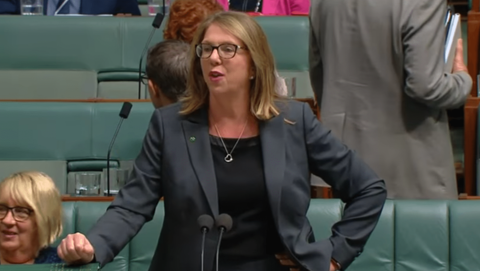 Shadow health minister calls out the Liberal party over gay ‘conversion’ therapy