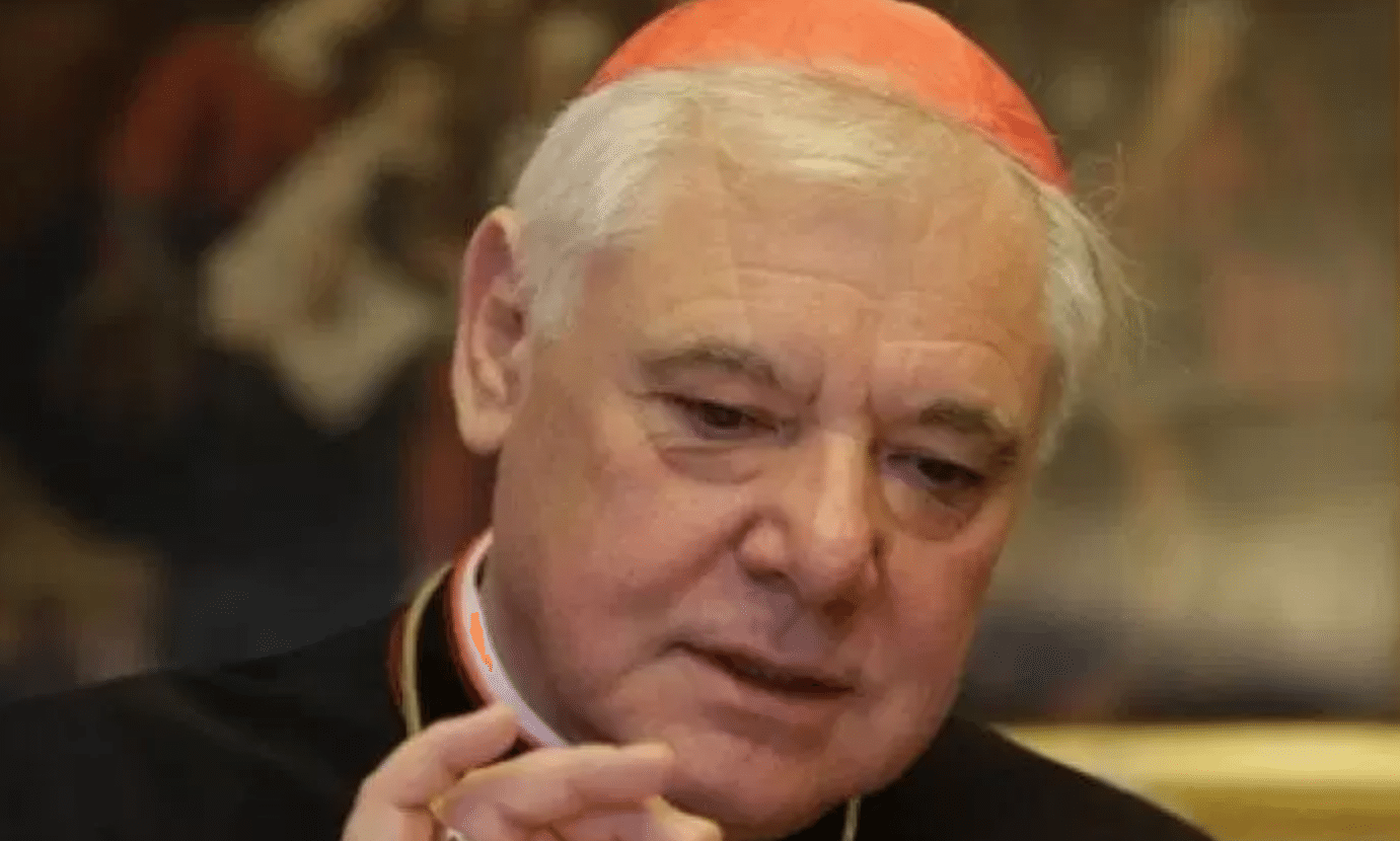 Vatican cardinal says homophobia is an invention and doesn’t exist