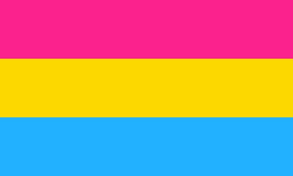 pansexuality pride flag