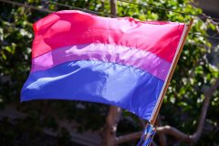 Bisexual pride flag Bi Visibility Day