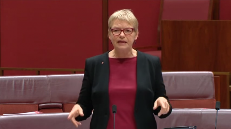 janet rice conversion therapy speech