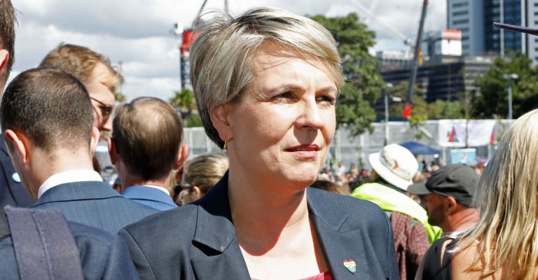 tanya plibersek labor pride centre
