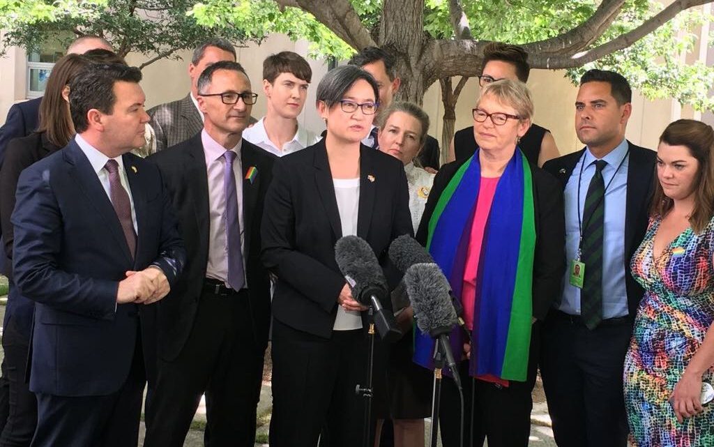 marriage equality rainbow parliament penny wong