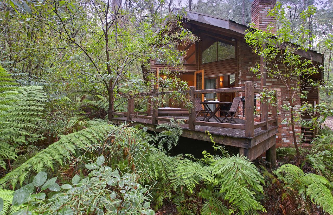 ‘A slice of heaven’: get away to Woodlands Rainforest Retreat in Victoria