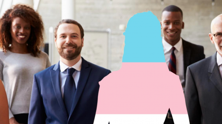trans gender diverse employment barrier