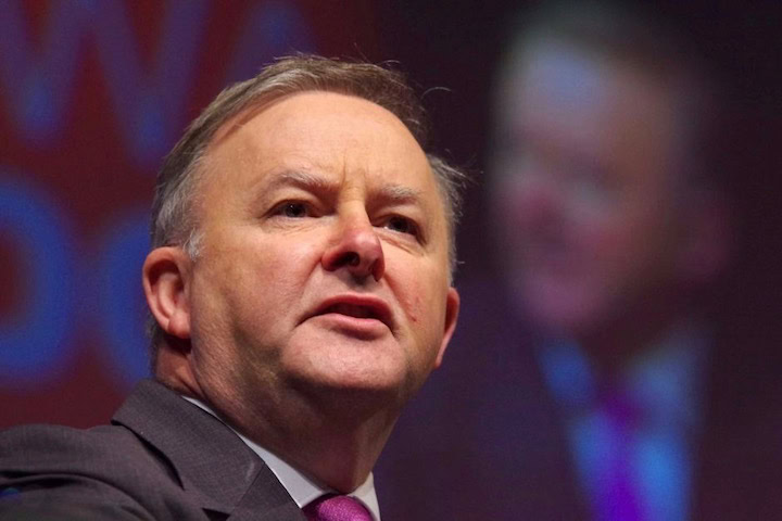 PFLAG targets Albanese over Religious Discrimination Bill