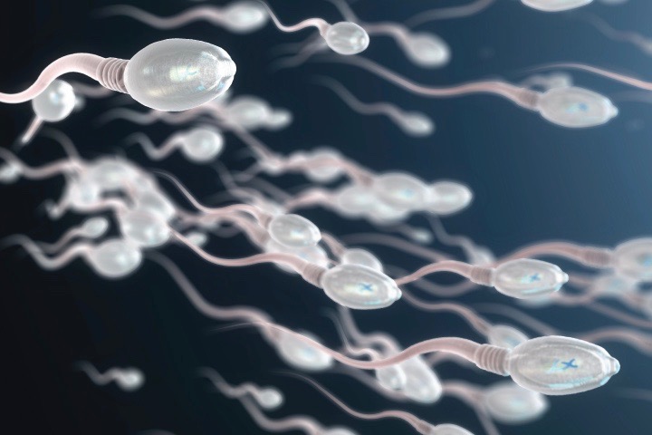 You don’t have to wait to start a family with sperm banks finally full