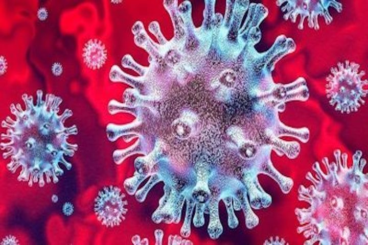 How will Coronavirus affect the LGBTQI community?