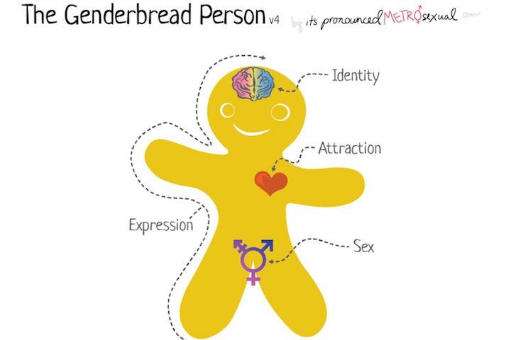 School Removes ‘Genderbread Person’ After Parent Complains